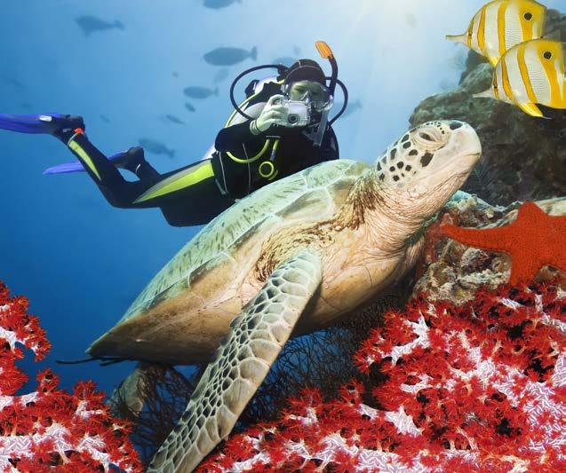dive sites such as Pulau Redang or Pulau Sipadan or immerse in the historical greatness at UNESCO world heritage