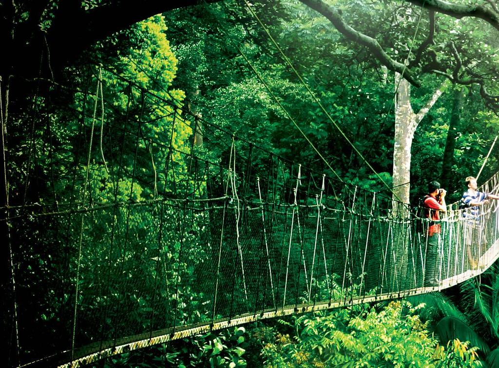 Nature enthusiasts can journey into 130-million-year-old tropical rainforests at our national parks or forest