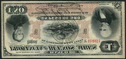 THE ANDEAN COLLECTION OF SOUTH AND CENTRAL AMERICAN BANKNOTES 28 El Banco de la Provincia de Buenos Aires, 10 pesos oro, 8 November 1881, serial number C50083, black
