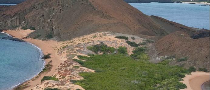Consequently, we want you to be completely focused on the Galapagos, and no on logistics of details.
