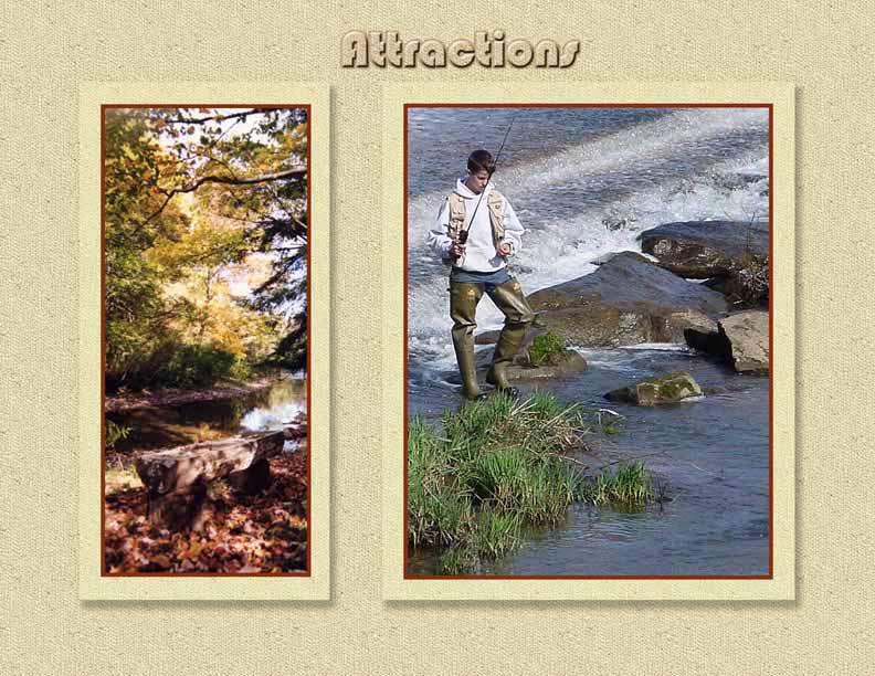 The fly fishing area on Marvin Creek offers beauty,, peacefullness and great fishing.