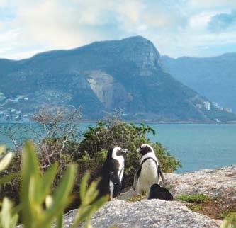 PLACES OF INTEREST/ THINGS TO DO Cape Town Hollow is set right in the heart of