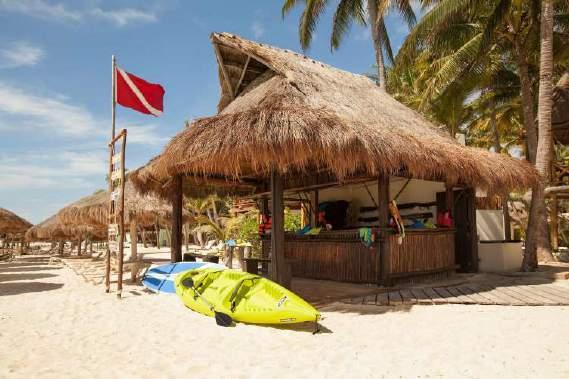 Vida Aquatica Dive Center Operating since 1983, the Vida Aquatica Dive Center at Mahekal Beach Resort, previously the Cyan- Ha Dive Center, is known as one of the