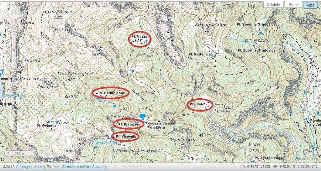 Slika 4: Topografski posnetek izbranih bohinjskih planin in njihova lega (vir: Geopedia, 2014). 3.