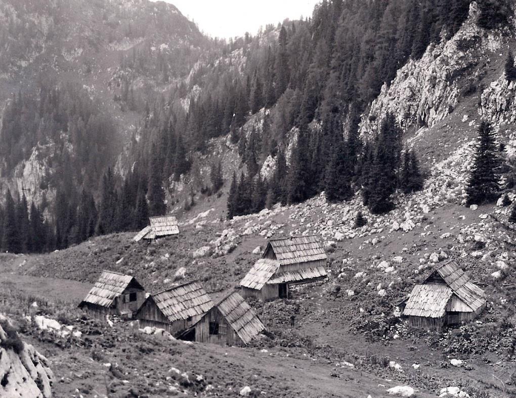 Slika 10: Pastirsko naselje na planini Viševnik iz