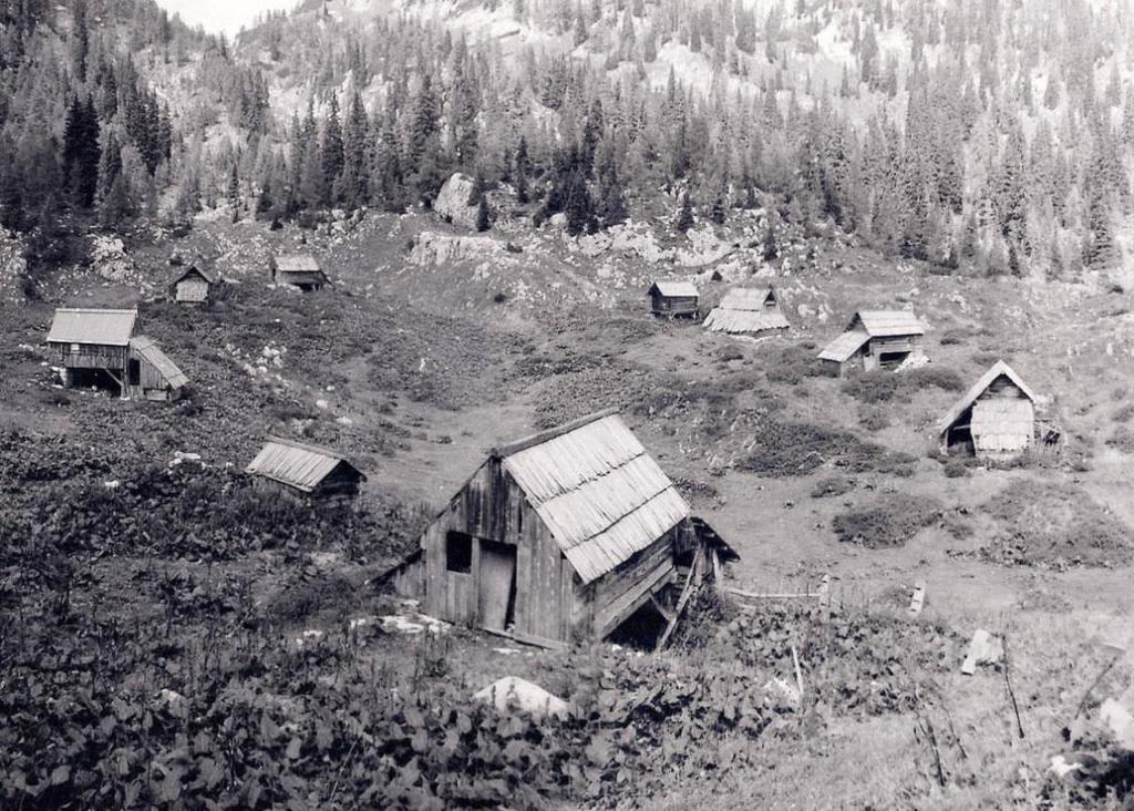 Slika 14: Planina Dedno polje iz leta 1978