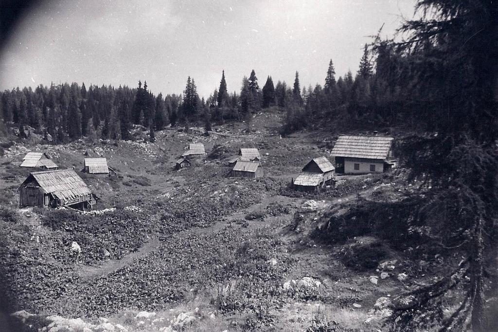 Slika 16: Planina Dedno polje, pogled na naselje iz
