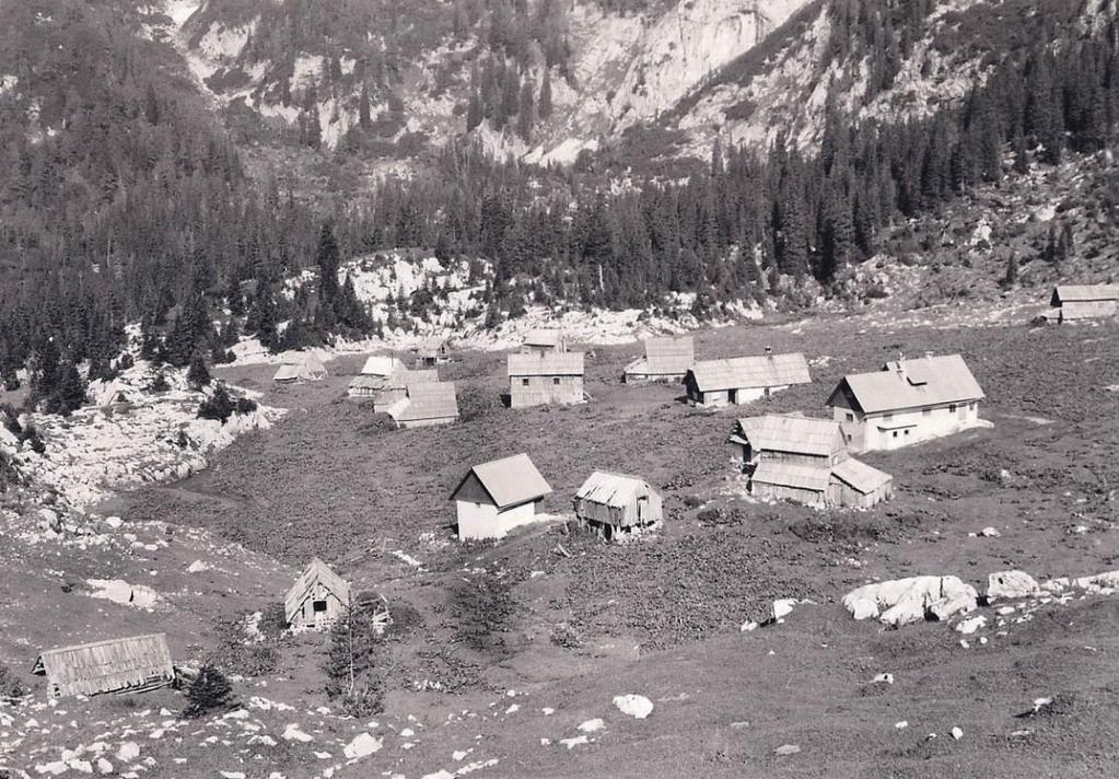 Slika 20: Planina Laz iz leta 1975