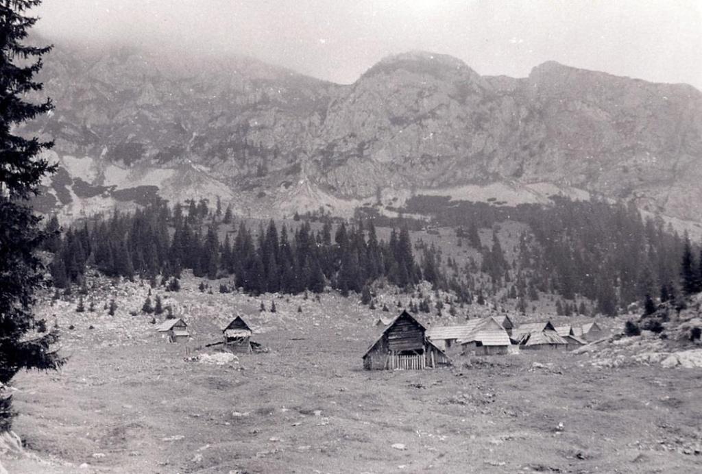 Slika 22: Planina Laz iz leta 1965