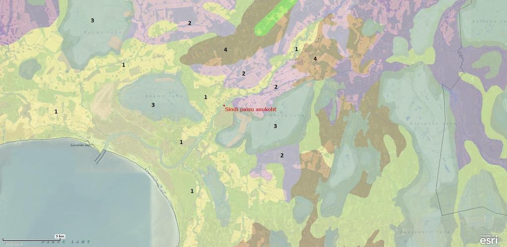 Joonis 27. Pinnakatte setete kaart. Allikas: Eesti Geoloogia Keskus; http://kaart.egk.ee/geol_kaart/.