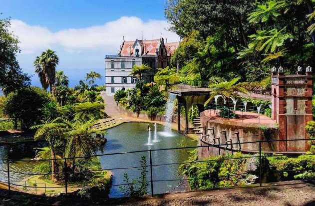 Madeira's Bothanical