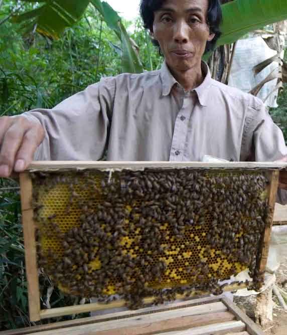 Nuôi ong Mật ong là một loại sản phẩm rất được ưa chuộng ở miền Trung Việt Nam.