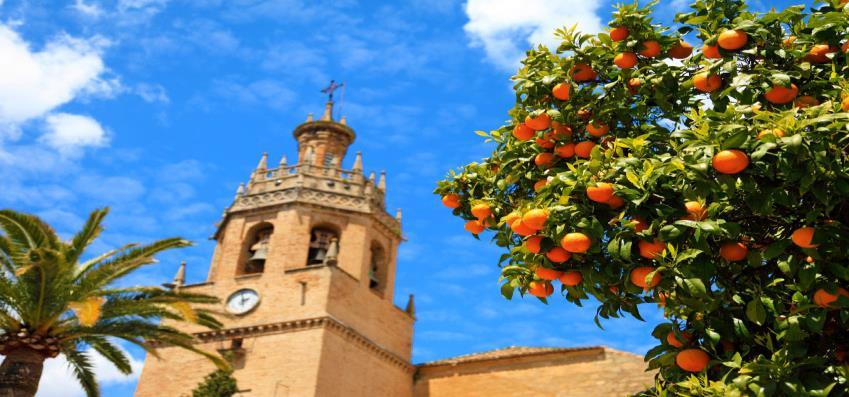 While in Ronda, marvel at its architectural variety, including the walled Old Town, a residential palace of nobility, the Cathedral, the bullring - the oldest existing in Spain - and the