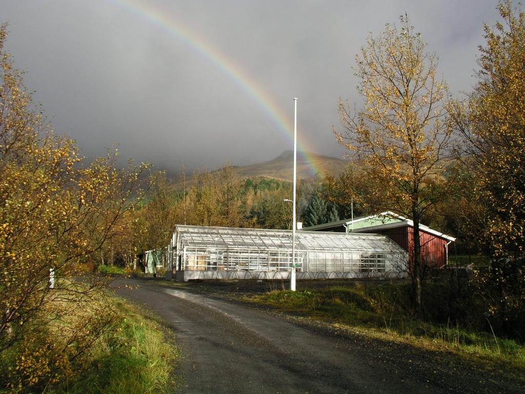 Mógilsá, Rannsóknastöð skógræktar er deild innan Skógræktar ríkisins og sinnir rannsóknastörfum fyrir hönd stofnunarinnar.