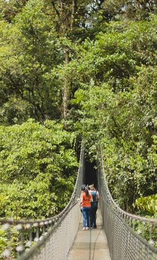 San Luis Hanging Bridges The venue is located in a cloud forest ecosystem that is covered by clouds most of the year.