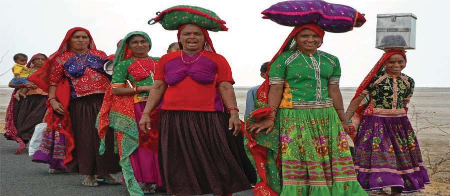 5.Kultur, Kunst und Natur in Gujrat die nordwestliche Schatzkammer Indiens: 15 Tage Die Halbinsel Gujarat im Westen Indiens ist besonders für Reisende, die gerne abseits des Touristenstromes reisen