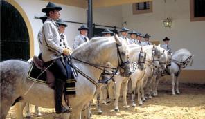 Equestrian School Day in Jerez.