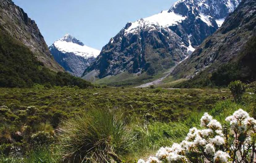 Tour 4 Tour New 1 Zealand Alaskan by RV Highway Tour 4 New Zealand Motorhome Convoy Tour both islands of New Zealand in the company of other motorhome friends & a tour