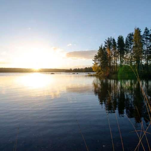 Region Arrival at our mökki, row-boat tour of the lake Dinner at the cottage Sauna with a swim in the lake DAY 4 Go back in time to see how Finns lived at the