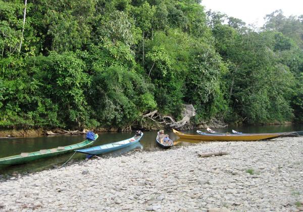 Day 7 : Semadang Kayaking This morning drive to Bengoh village where you take to the water for a river kayaking adventure, visiting mini waterfalls and caves en route and feeding river fish.