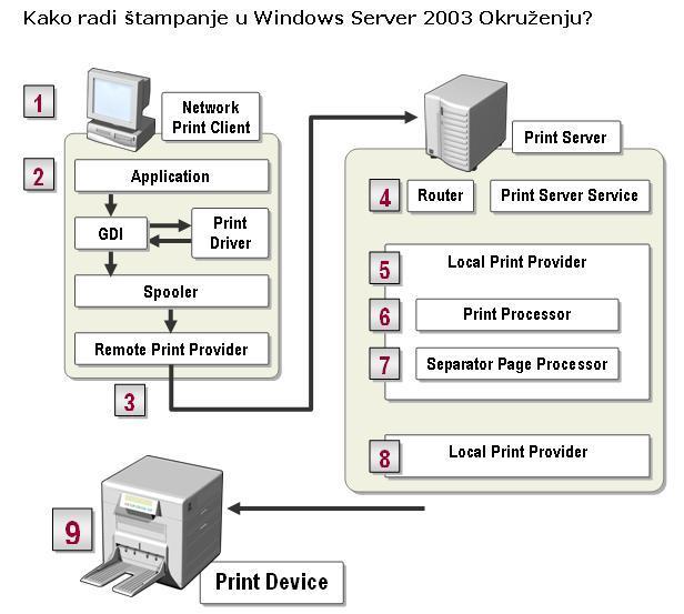 12.1.2 Postupak štampanja Proces štampanja kod Windows Server OS Grafički interfejs Lokalni