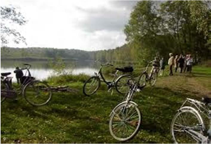 Flusskultur-Radreisen (tour