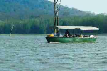 Safaris into the Nagarhole National Park in jeeps, at dawn and dusk Boat cruise and coracle ride on the River Kabini Bird-watching Viewing