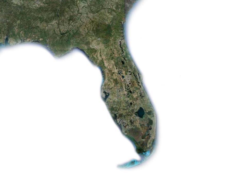 Pensacola Panama City AREAS OF RESPONSIBILITY FIELD OFFICES CIVIL WORKS DIVISIONS AND DISTRICTS CIVIL WORKS Portions of Florida and Georgia (defined by watersheds) Puerto