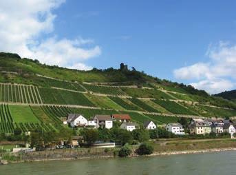River Castles Tour The German Rivers Rhine, Moselle, Neckar and Main and their Castles Rhine Valley For hundreds of years the Rhine has ranked as one of the most popular travel destinations in Europe.