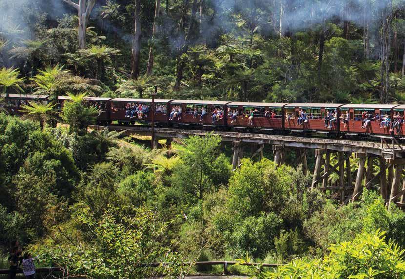 PUFFING BILLY (MORNING OR FULL DAY) Puffing Billy BLUE DANDENONGS, MOUNTAIN VILLAGES DAILY (Morning) Tour 322 $99.00 Child: $49.50 8.10am 1.