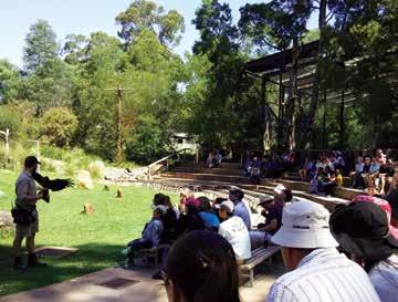Ride on Australia s most notable narrow gauge steam railway through the spectacular Blue Dandenong Ranges with Bellbirds and Kookaburras echoing the steam train s whistle.