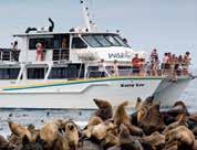 30pm (seasonal) Fare Includes: Tour 376 includes entrance to Moonlit Sanctuary, Churchill Island Heritage Farm, Antarctic Journey at The Nobbies, Penguin Parade with Penguins Plus premium viewing and