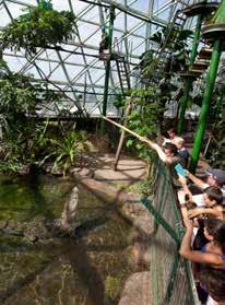 Experience ZOOM & Wildlife Dome as a stand-alone, or include with the above tour or the TCTS (over the page) at a special package