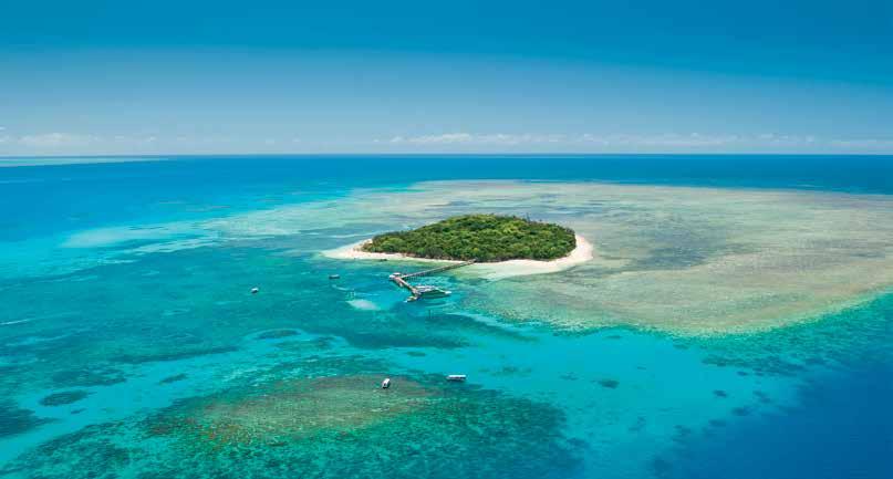 GREEN ISLAND ON THE REEF OUTER GREAT BARRIER REEF REEF MAGIC CRUISES Less than 90 minutes travel time direct from A relaxing 5 HOURS to explore the Outer Great Barrier Reef Spacious Marine World