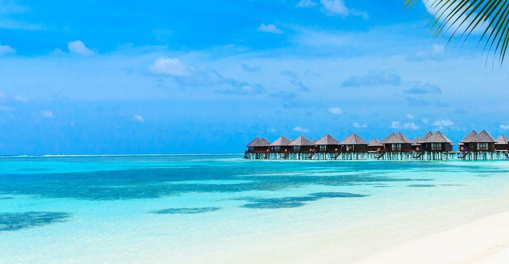 INDIA, SRI LANKA & MALDIVES $ 3599 PER PERSON TWIN SHARE THAT S % 59 OFF TYPICALLY $8699 TAJ MAHAL PINNAWALA ELEPHANTS ROYAL AMBER FORT SIGIRIYA FORTRESS THE OFFER As bucket list destinations go,