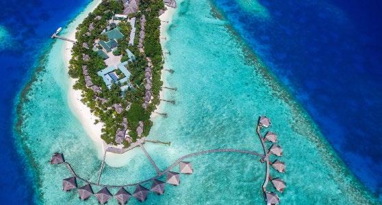 MALDIVES & SRI LANKA $ 2799 PER PERSON TWIN SHARE THAT S % 58 OFF TYPICALLY $6699 KANDY COLOMBO GALLE MALDIVES THE OFFER Two bucket list destinations come together on this incredible 16 day package