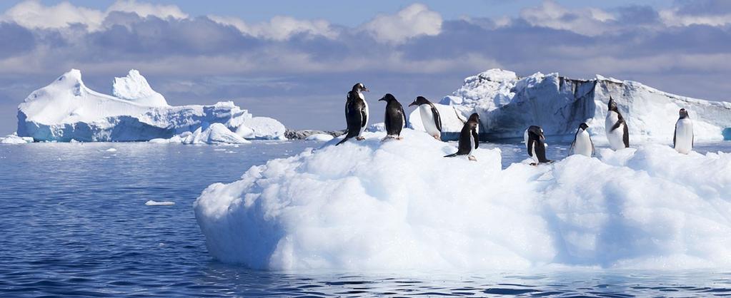 800 554 7016; M-F 8-7, Sat 9-1 CT or speak to your travel professional LUXURY EXPEDITION CRUISES Classic Antarctica 2017 18 12 Days from $15,995 Limited to 199 guests OFFER Save $2,500 per person on