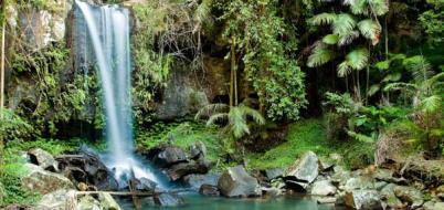 Southern Cross 4WD Tour Offered: Full Day Rainforest and Wildlife 4WD Tour Inclusion: Canopy treetop walk,
