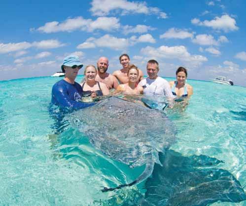 Stingrays glide tranquilly past in their natural