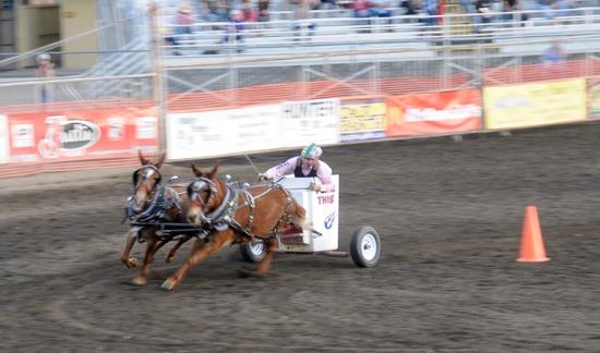 Mule races, and so much more.