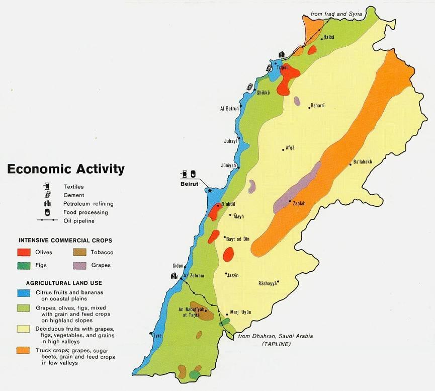 Lebanon s Economy Lebanon Economy: The main sectors that are driving business to Lebanon and are playing a preponderant role in boosting Tourism are: Banking & Finance: Banking is one