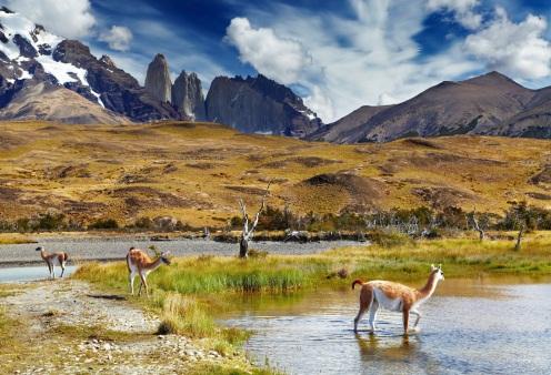 Breakfast at the hotel EXCURSION TORRES DEL PAINE WITH LUNCH (from April to September only BOX LUNCH) (SIB) The excursion begins visiting the Milodon Cave, a natural monument located on Benitez Hill,