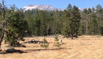 $1,275,000 TBD Pine-Featherville Rd Pine I-84 Exit 95, Hwy 20 North, North on Pine- Featherville Rd, past Pine just past Hidden Pine Sub +/- 17.