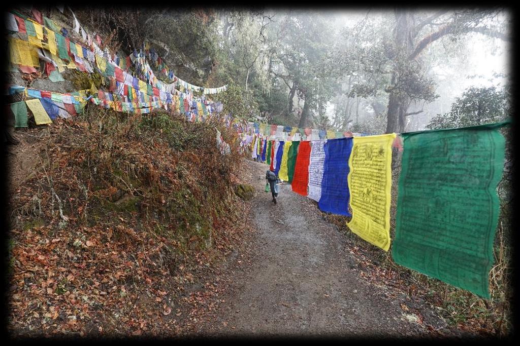 Buddhists believe that the prayer flags generate spiritual vibrations that when blown by the wind, the