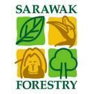 Trilling Adventures: Destination and Tours Turtle Conservation at Talang-Talang Besar Sarawak