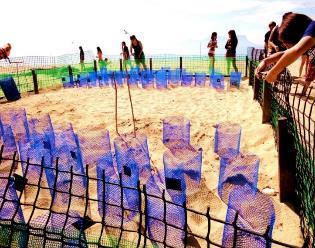 involvement in turtle conservation through its Sea Turtle Adoption Programme, where visitors spend