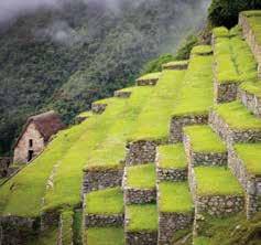 Picchu. Nestled in a cloud forest, the Lost City of the Inca arguably is the most important archaeological site in the Americas.