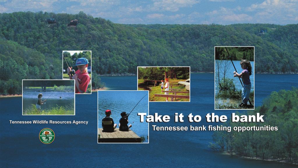 Bank Fishing The following bank fishing locations were compiled by TWRA staff to inform anglers of areas where you can fish without a boat.