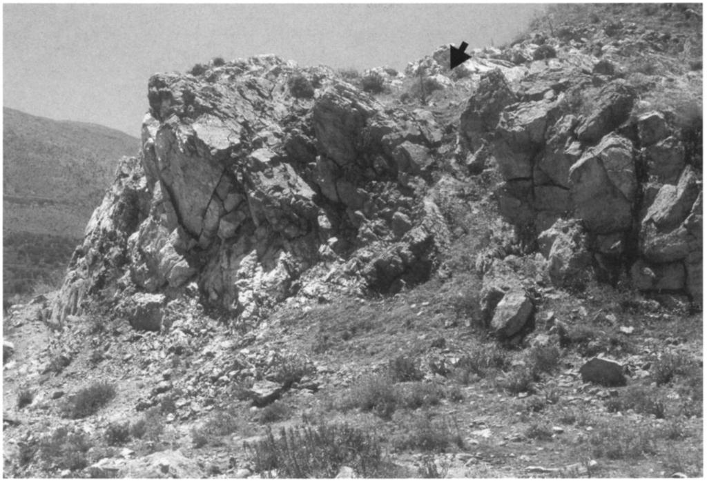 548 PHILIP P. BETANCOURT ET AL. Figure 7. Contact of light-colored limestone (left) 