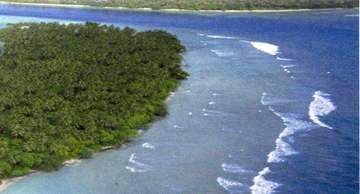 Only tall tree forest situated between land and sea in tropical & subtropical coast MANGROVE FOREST?